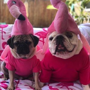 Meet your Posher, Berenice